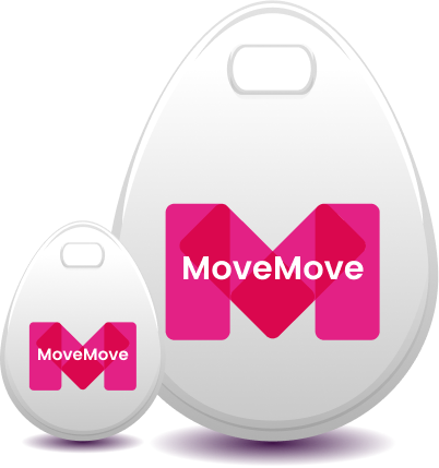 Laadpas van MoveMove